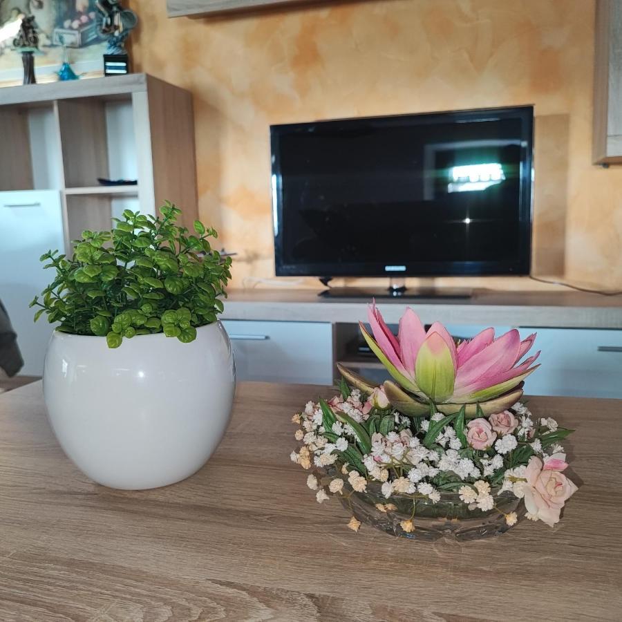 Apartamento Casa Zanier Aviano San Martino di Campagna Exterior foto